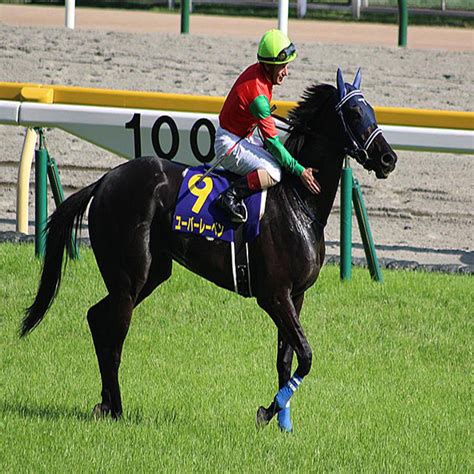 オークス馬は母としても大活躍！ ユーバーレーベンも期待大 2023年3月2日掲載 ライブドアニュース