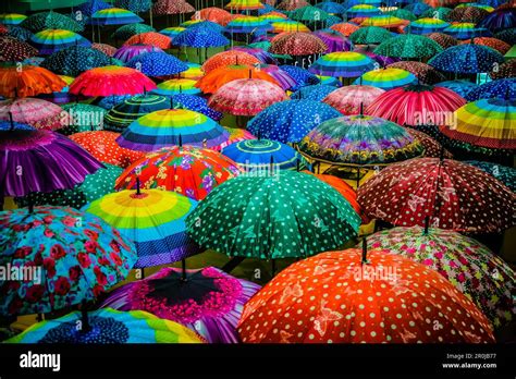 rain  umbrella background