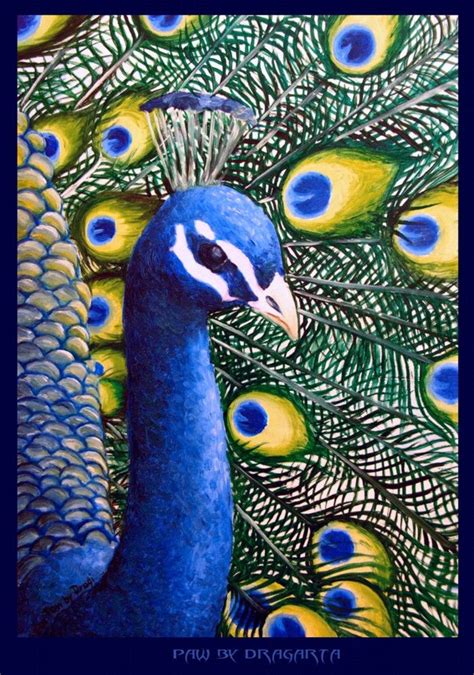 Peacock T By Dragarta On Deviantart Peacock Ts Peacock Ts