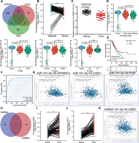 Frontiers Systematic Analysis And Validation Of The Prognosis