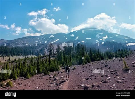 Hiking In The Sisters Wilderness Pacific Crest Trail Oregon Usa