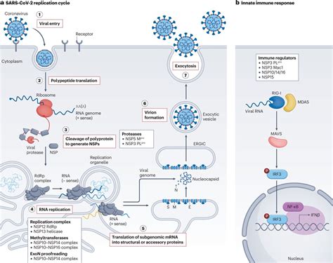 Nature Reviews Drug Discovery On Twitter Accelerating Antiviral Drug Discovery Lessons From