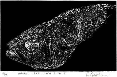 Dc Aiga Spirit Lake Iowa Fish I” Wood Engraving Selected For The