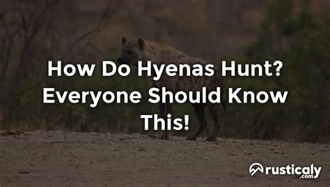 How Do Hyenas Hunt? (Fully Explained Inside!)
