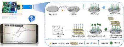 Competitive Smartphone Based Portable Electrochemical Aptasensor System