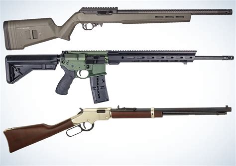 The Best Rimfire Rifles Serve A Multitude Of Purposes