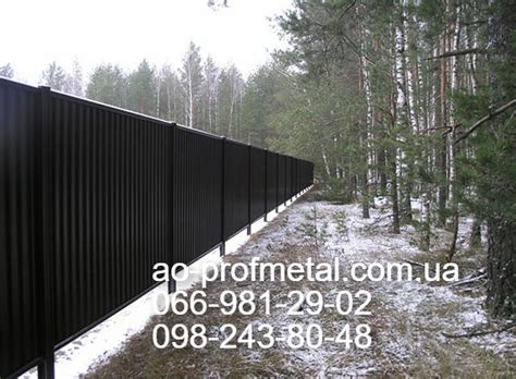 Профнастил для забора черного 9005 РЕМА, Профлист матовый черный РАЛ ...