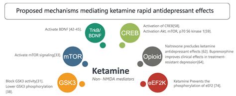 Ketamine Effects