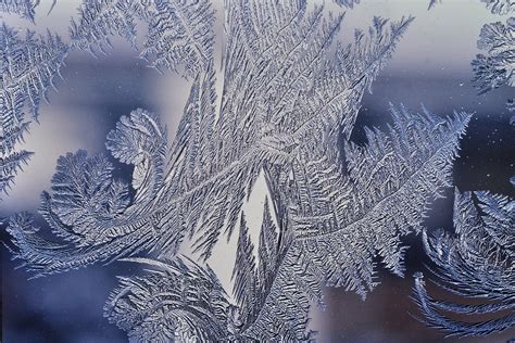 File:Frost patterns 4.jpg - Wikipedia