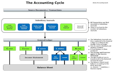 Avitus Accounting Training