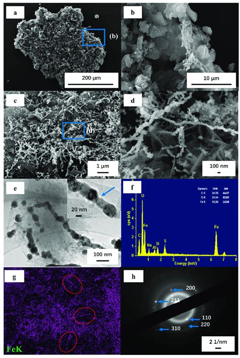 (a,b) Scanning electron microscope (SEM) images of MAC (b is the ...
