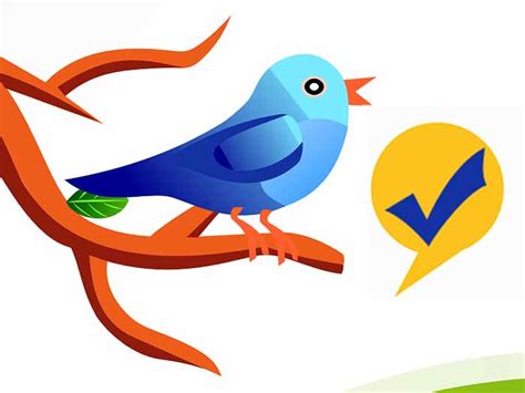 Twitter Reopens Account Verification Process Twitter