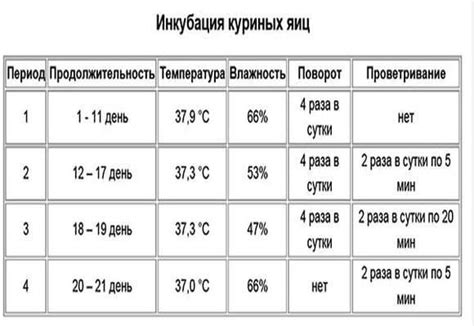 Инкубатор несушка - инструкция как закладывать яйца в домашних условиях ...