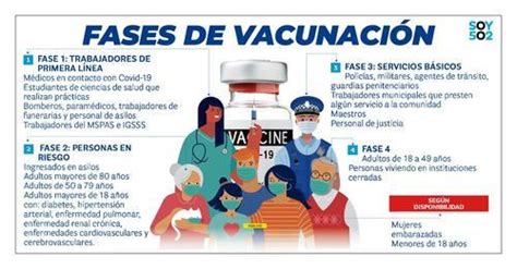 Las Fases De Vacunaci N Y Los Pasos Para Recibir La Vacuna Covid