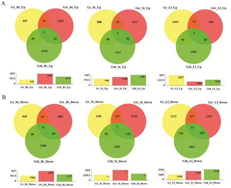 The Venn Diagram Of The Differentially Expressed Genes Degs The