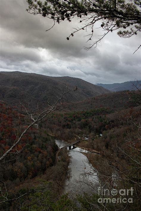 Naked Trees Photograph By Daniel Wagner Pixels