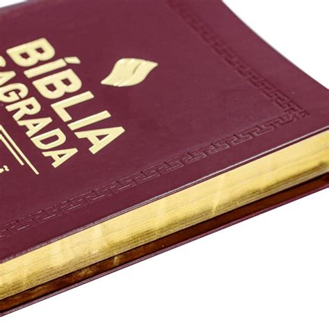 Bíblia Slim Ultra Fina - Bíblia Sagrada Ultra Fina Slim Harpa Cristã ARC 13x20cm | SBB