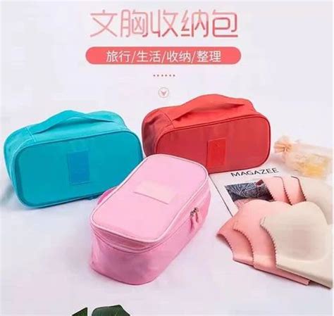 Multicolor Bra Panty Lingerie Travel Bag Organizer At Rs Piece In Mumbai