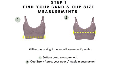 Find My Size In Mindd Bra Mindd Bra Company