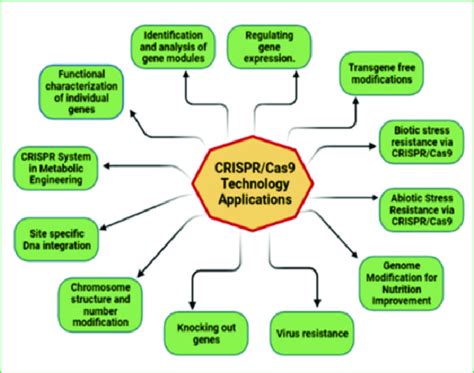 Direct applications of CRISPR/Cas technology | Download Scientific Diagram