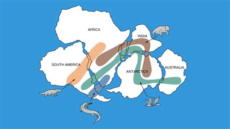 Image Result For Fossil Evidence Of Pangaea On World Map Continental