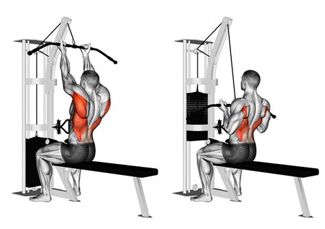 Тяга верхнего блока или вертикальная тяга: техника, хваты и работающие ...