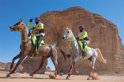 Setzi Saddles