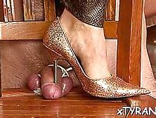 Cynthia Vellons Nude Pornstar Search Results