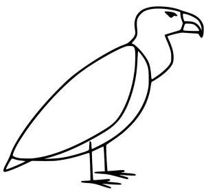 Desenho De Urubu Fácil - 45+ Desenhos de Urubu para Imprimir e Colorir (Atividades)
