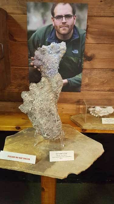 Expedition Bigfoot Museum Near Blue Ridge Georgia Are You A Believer