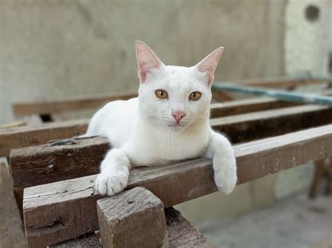 Infinix Hot S Sample Photo GKyHuok EE ExploreCams