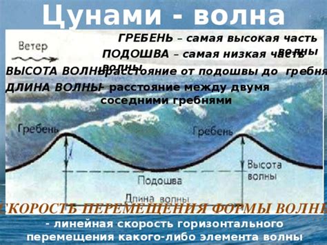 Цунами и их характеристика