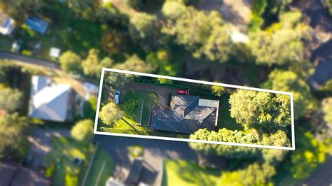 New nocturnal exhibits are coming to sydney zoo great western highway eastern creek nsw 32