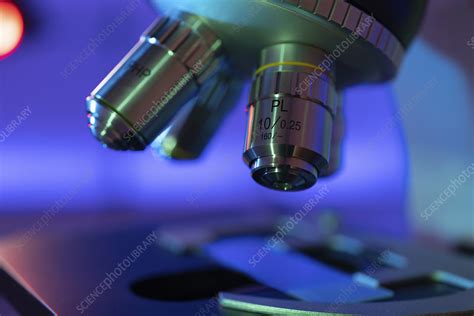 light microscope stock image  science photo library
