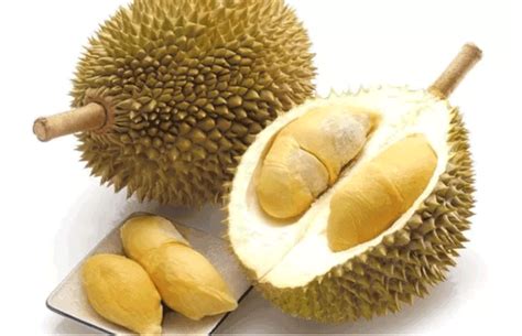 memilih durian  tebal  manis berkualitas bams