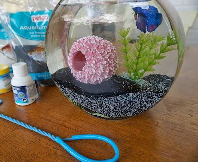 Cooling glass fish bowl decorations tips and tips ~ Interior-decoratinons 1