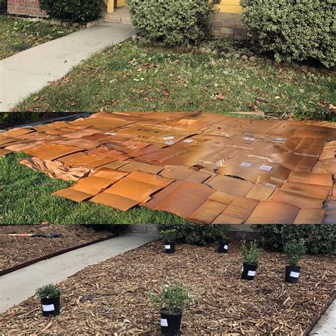 144 best Arborist images on Pholder | Arborists, EDC and Sfwtrees