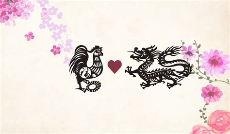 Rooster Man Dragon Woman Long-Term Compatibility