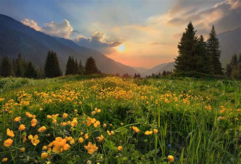 Nature