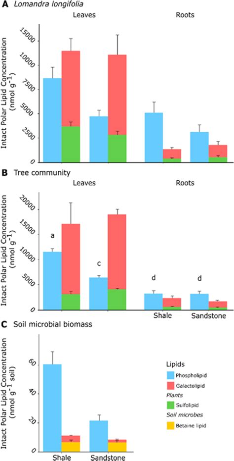 Mean Absolute Concentration Of Intact Polar Lipids In Bligh And Dyer