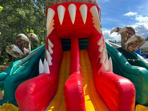 Inflatable Dinosaur Water Slide Able Auctions