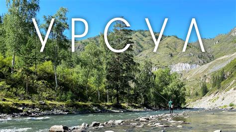 Рыбалка на хариуса по реке Урсул. Горный Алтай 2021. - YouTube