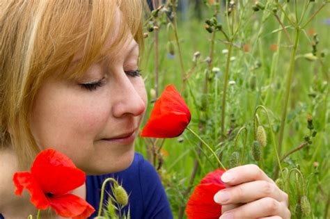 Blithe - Meaning, Examples - Blithe in a sentence