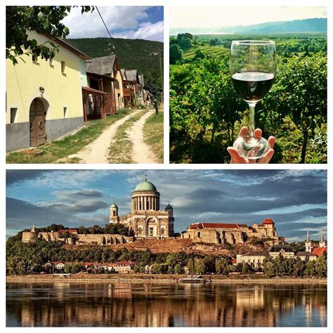 winehistory  hungary