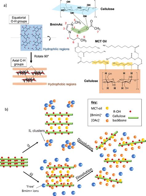 A Schematic Showing Hydrophobic Hydrophilic Regions Of Cellulose As