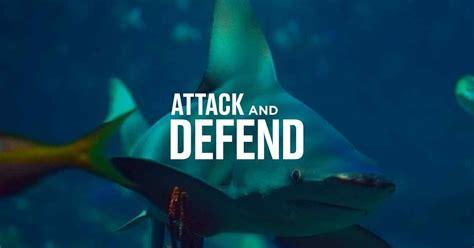 Attack and Defend - watch free online documentaries - ihavenotv.com