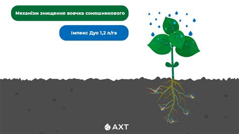 Імпекс Дуо: препарат, що працює за трьох — Teletype