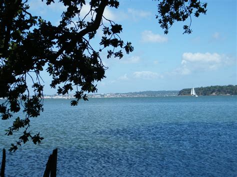 Dorset Group Aug Rempstone S Heath And Forest Gay Outdoor Club