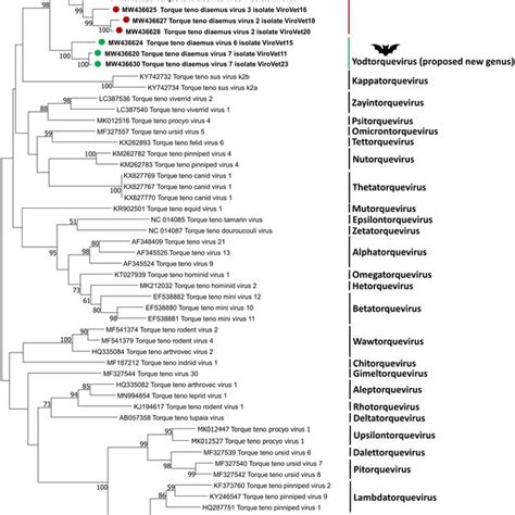 Metagenomic graphic results presenting the generated sequence ...