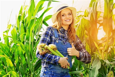 Menina Nova Do Fazendeiro No Campo De Milho Imagem De Stock Imagem De